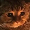 youmademesad