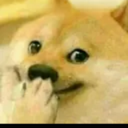 dxt_chomu_dog Discord emoji