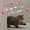 z_czcatomw2hugu