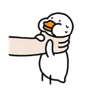 duckiechoke
