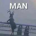 deer_MAN