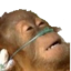 :lifesupport: