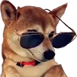 coolDoggo