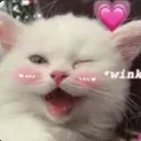 catwink