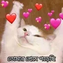 RRR_preme_porsi_tomar