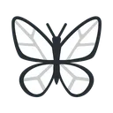 butterfly_white