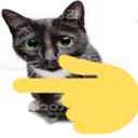 pointingleftcat Discord Emoji