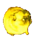 conchobao