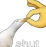 shut