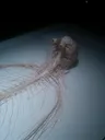 thenerveofthisguy
