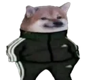 animal_russian_dog_FSoftware animal_russian_dog_FSoftware