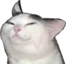 smug