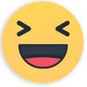 Fb Ha Ha Discord Emoji
