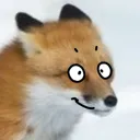 foxsmile