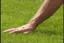 Novi_TouchSomeGrass