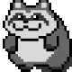 raccoon