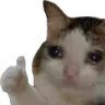 SadCat