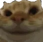 hypersnod