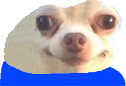 peepodoggie Discord emoji