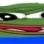 Widepepe3 Discord Emoji