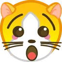 whAT_cat whAT_cat