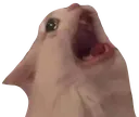 emoji_181