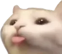 Cattounge Discord Emoji