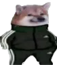 ace_dekhraha