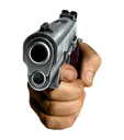 gun1