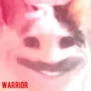 warrior