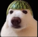 emoji_163
