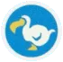 dodo