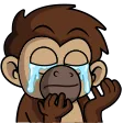 kkushCry