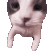 catkiss