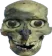 Zgweirdskull Zgweirdskull