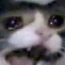cryaboutit