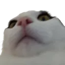 MILKY