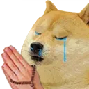 DogePray
