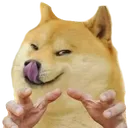 DogeGrab