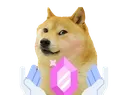 DogeNitro
