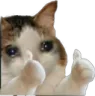 mp_catthumbsupx2 mp_catthumbsupx2