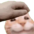 gabePat gabePat