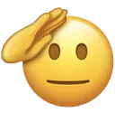5a_blank_stare_salute