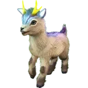 shinehorn