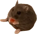sit