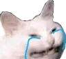 sadcat Discord Emoji