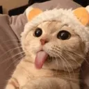 blahkitty