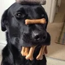 toomanytreats
