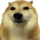 doggo_stare Discord emoji