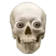 MA_Skull2